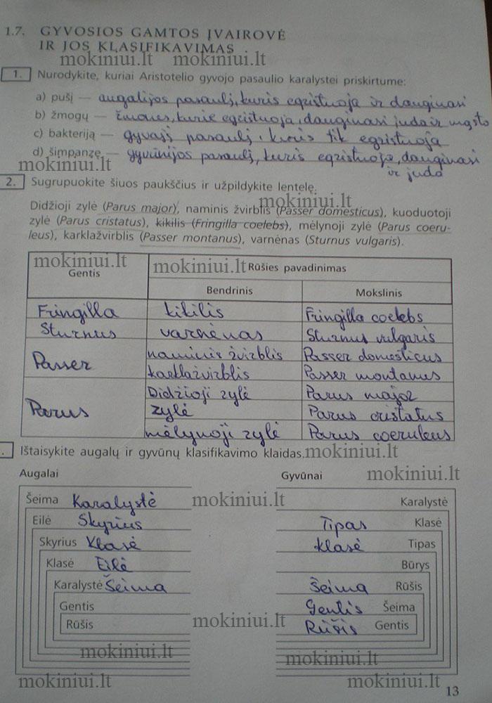 pratybu atsakymai