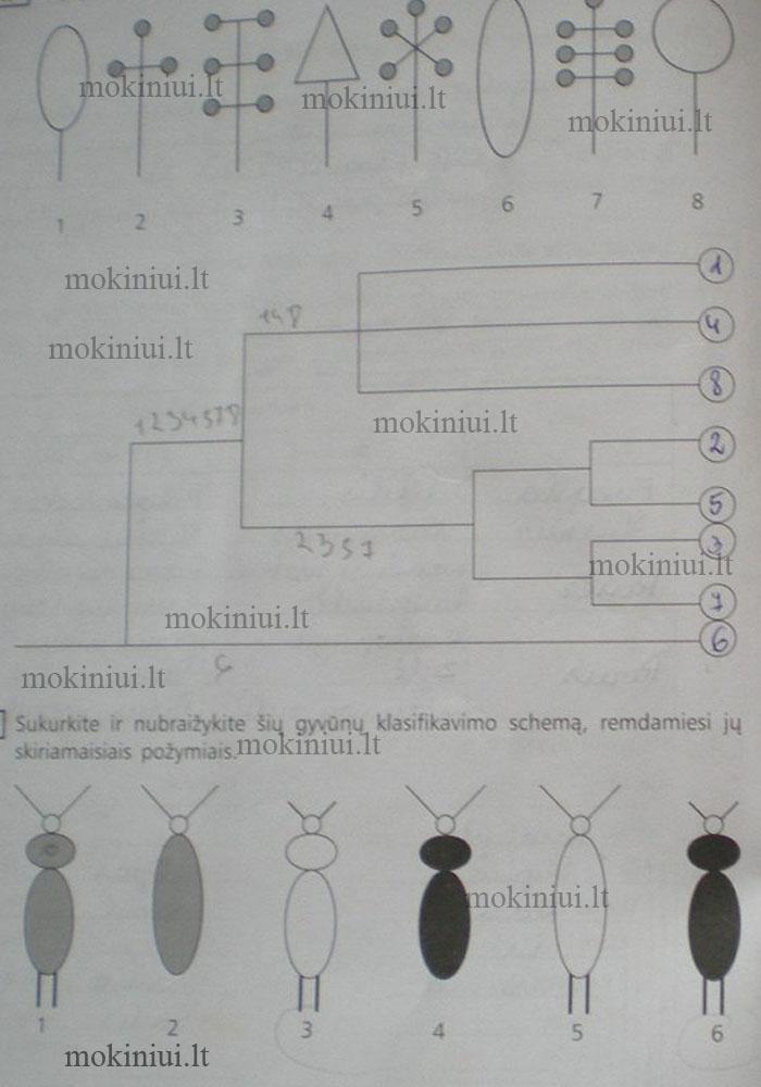 pratybu atsakymai