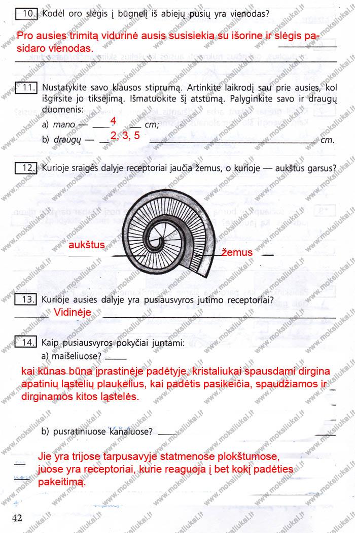 pratybu atsakymai