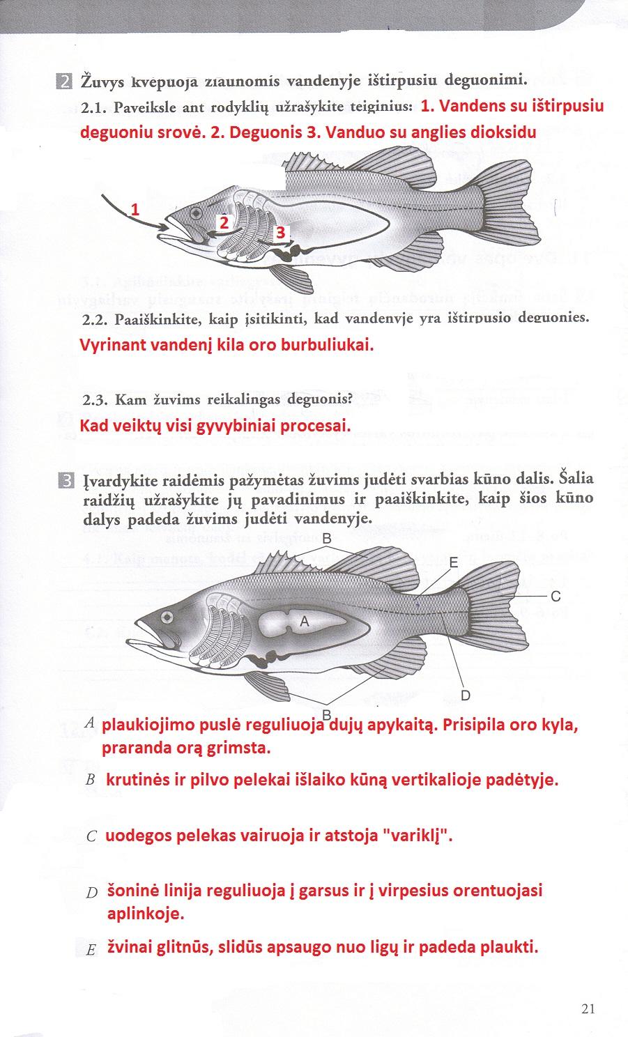 pratybu atsakymai