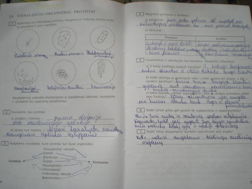 pratybu atsakymai