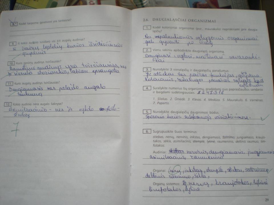 pratybu atsakymai