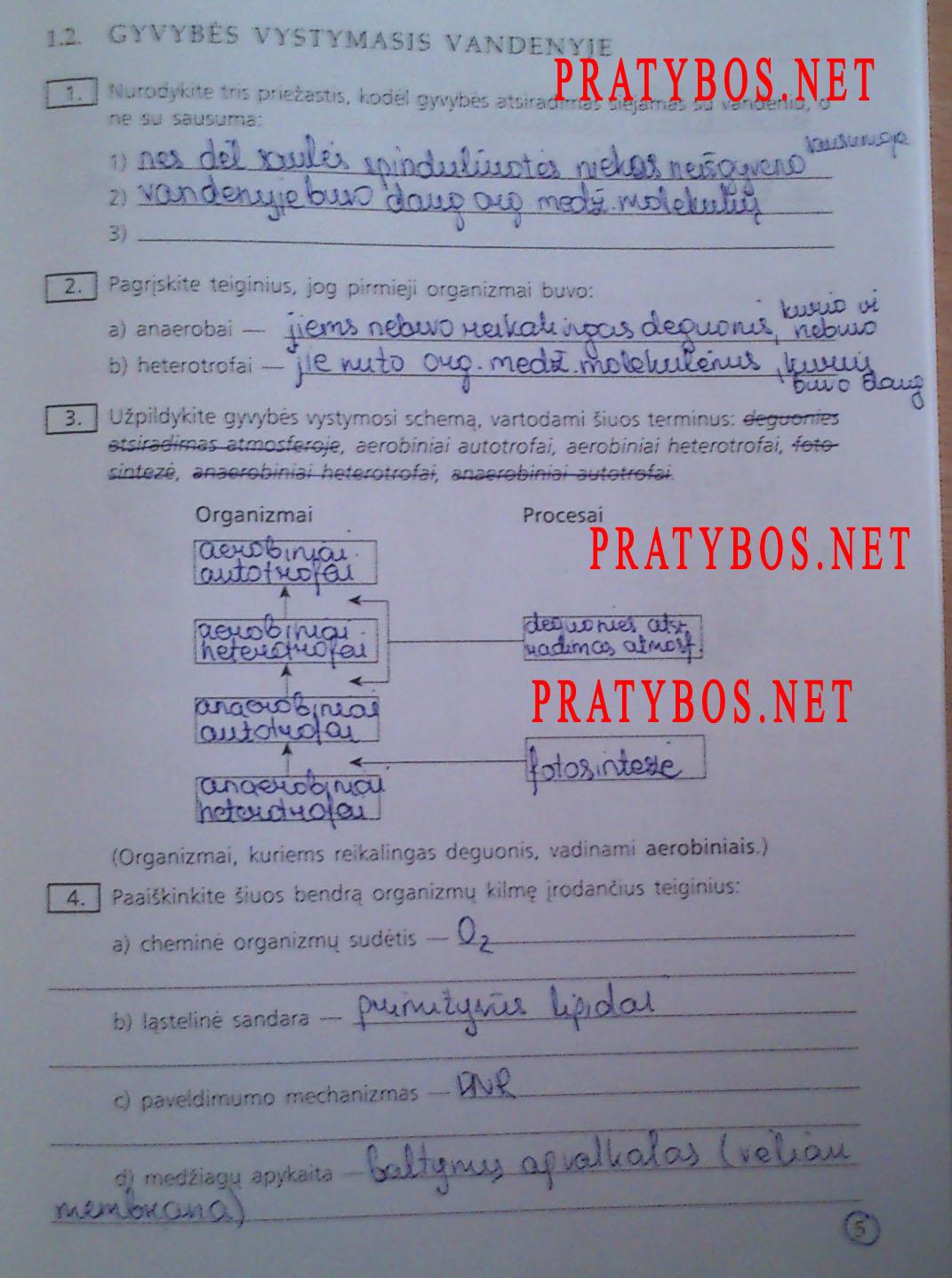 pratybu atsakymai