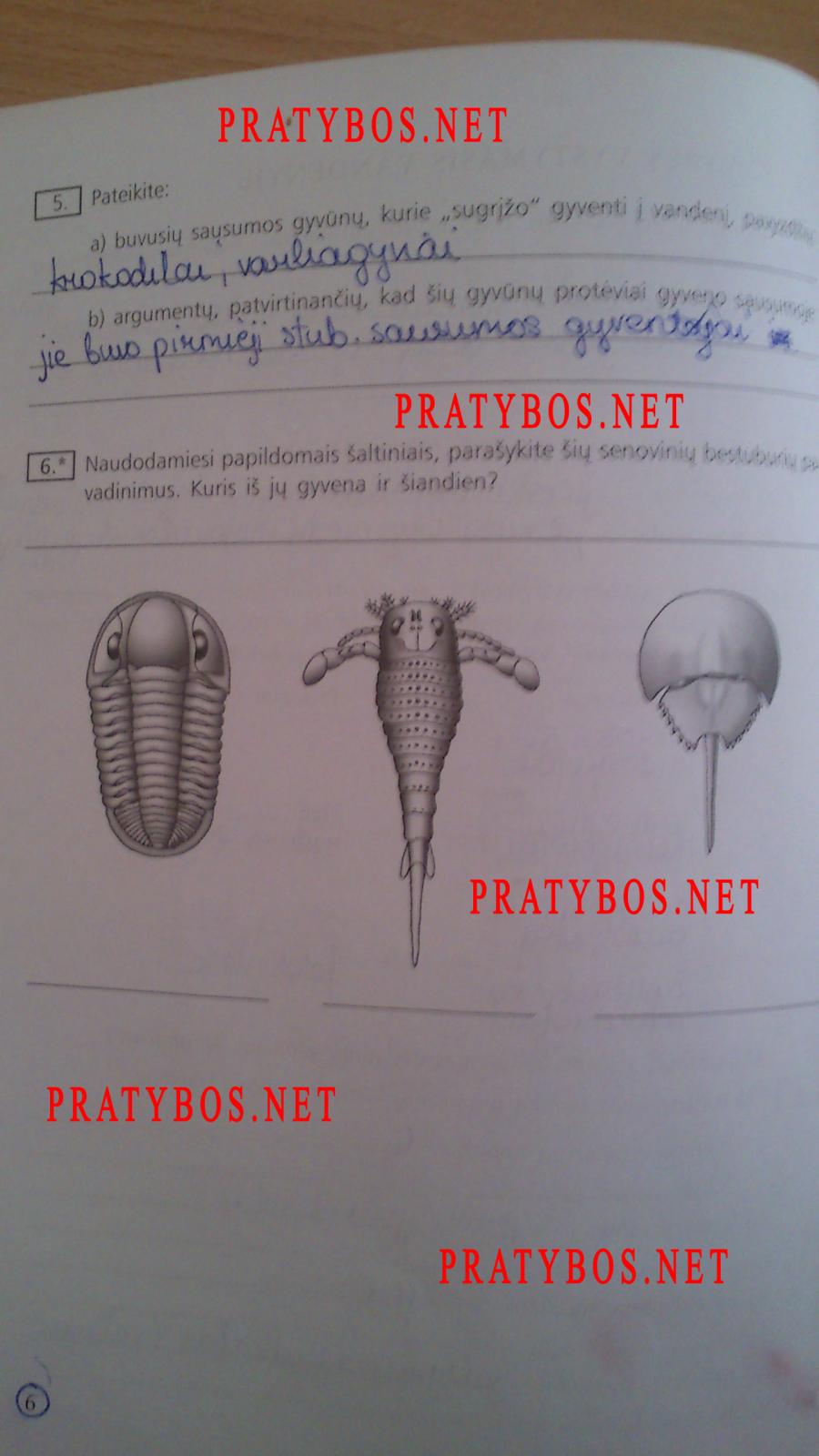 pratybu atsakymai