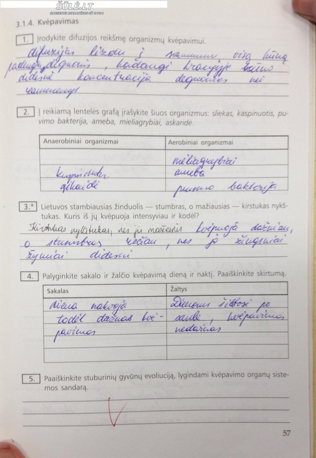 pratybu atsakymai