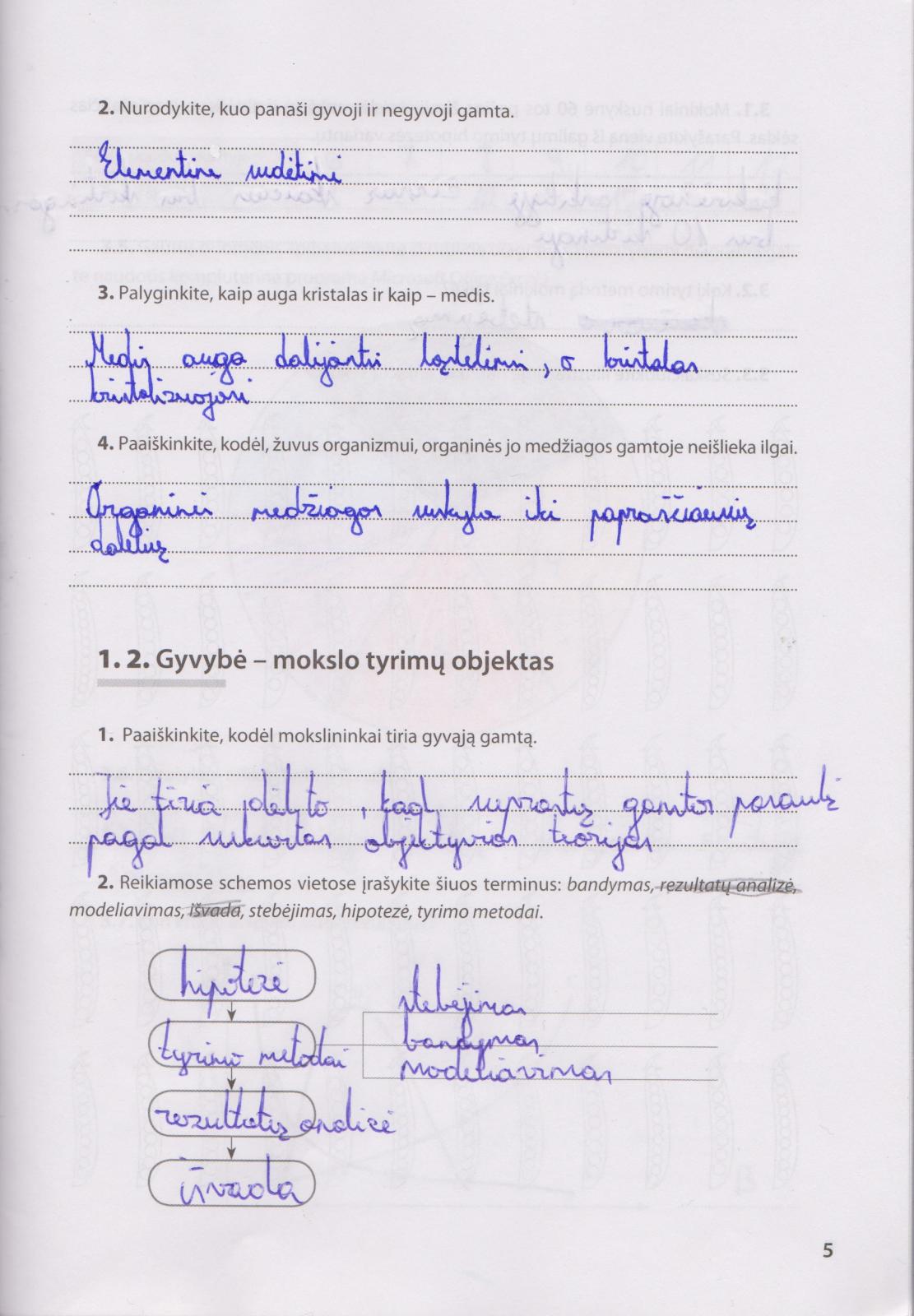pratybu atsakymai