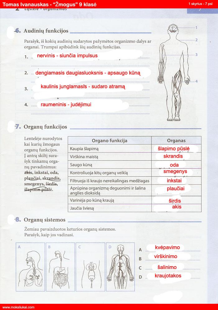 pratybu atsakymai