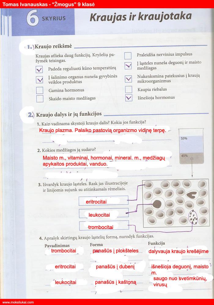 pratybu atsakymai