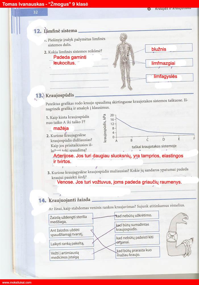 pratybu atsakymai