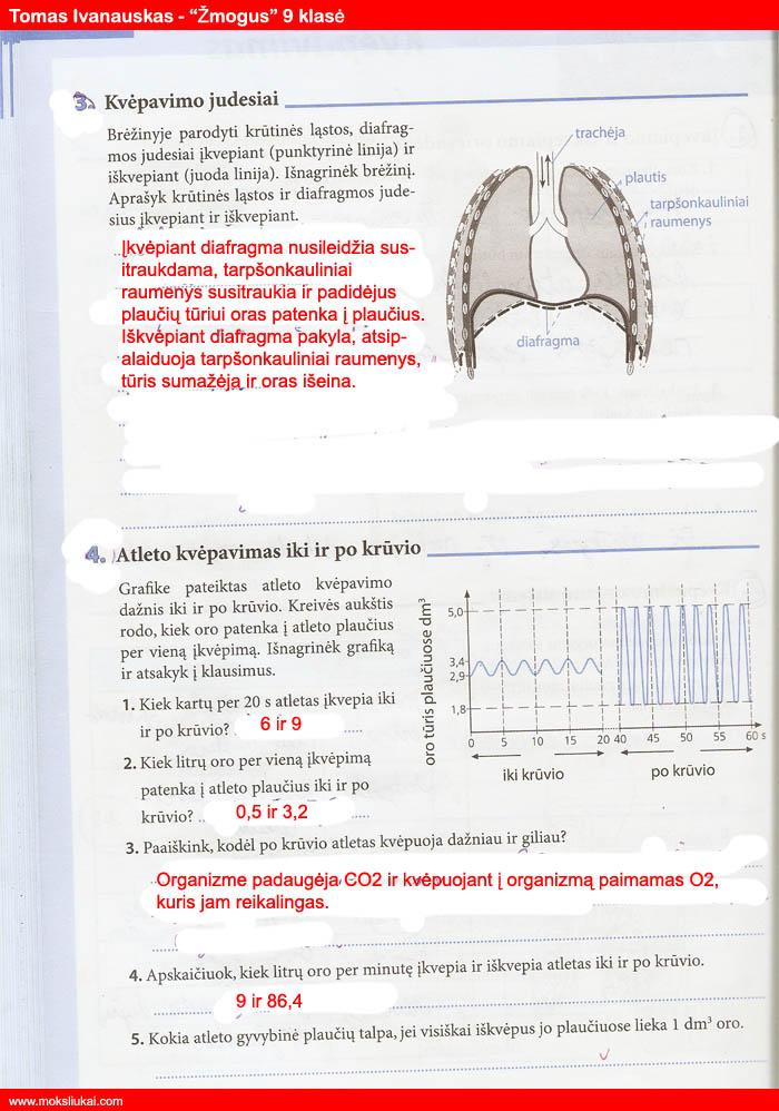 pratybu atsakymai