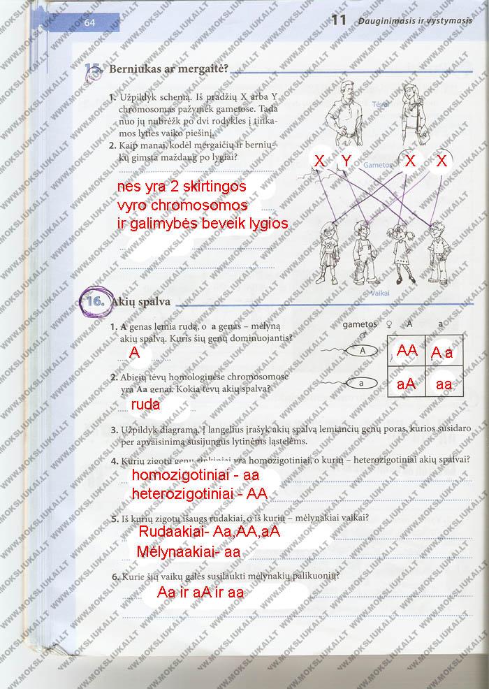 pratybu atsakymai