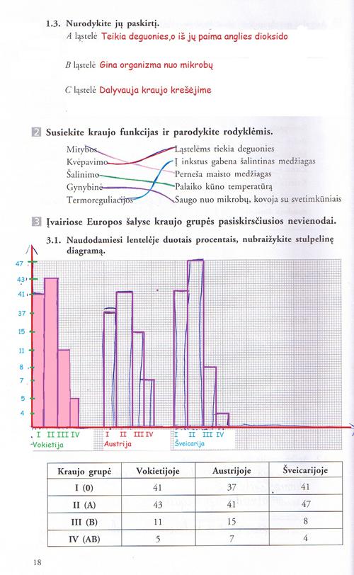 pratybu atsakymai