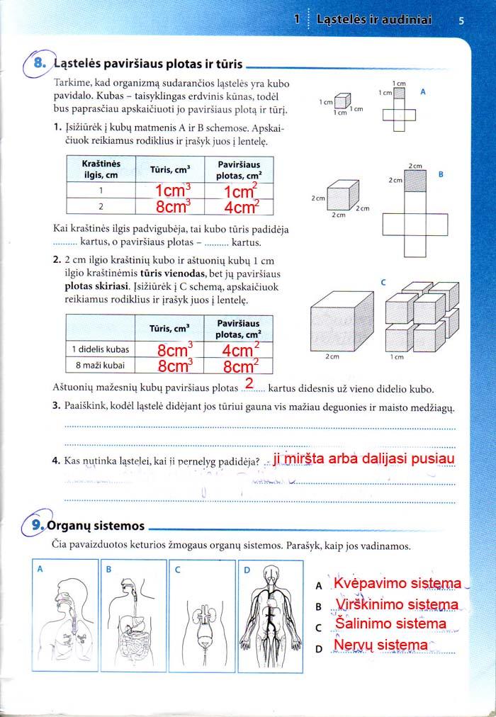 pratybu atsakymai