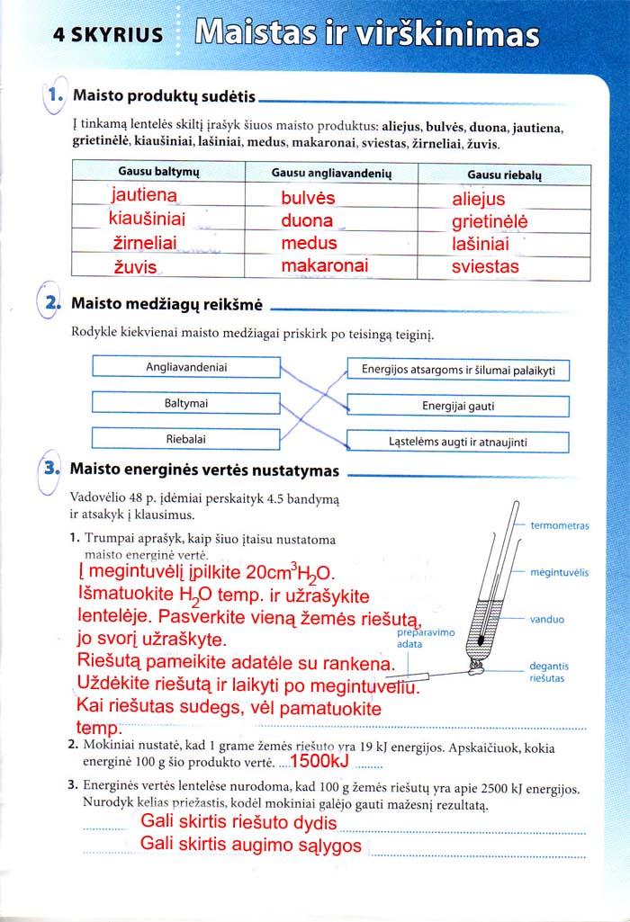 pratybu atsakymai