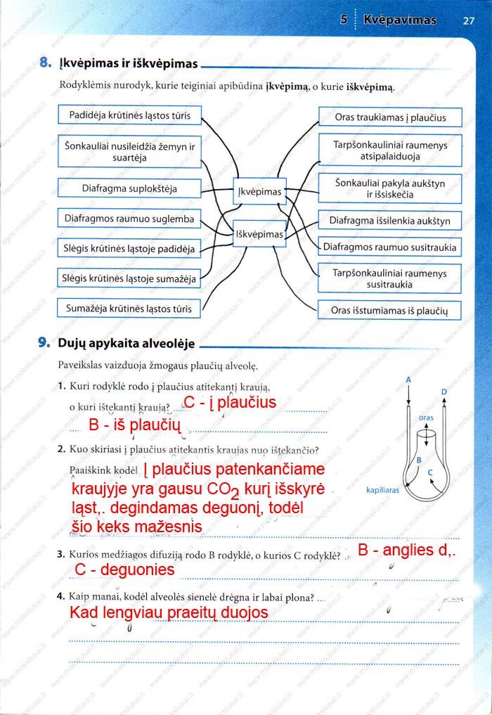 pratybu atsakymai