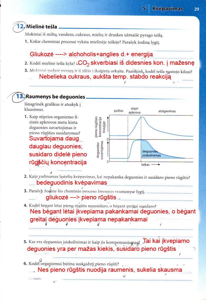 pratybu atsakymai