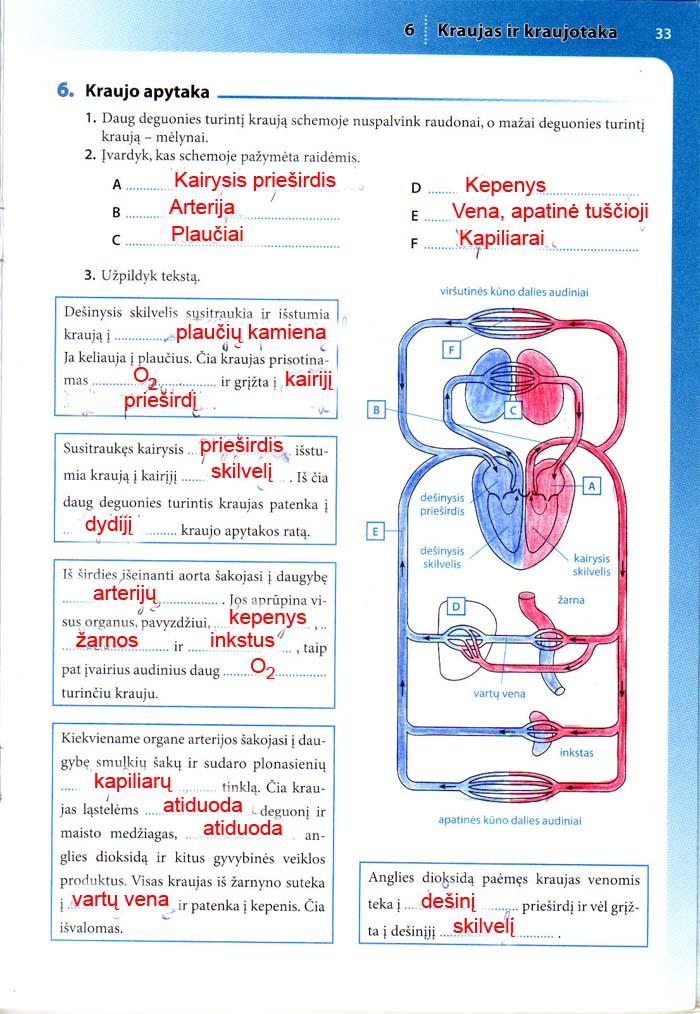 pratybu atsakymai