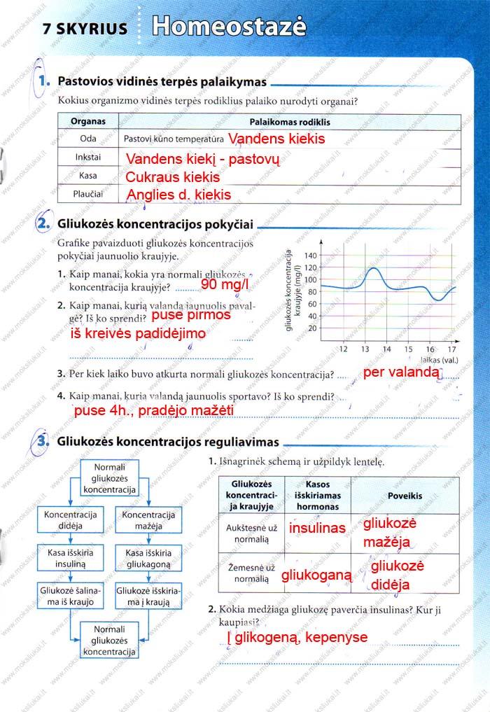 pratybu atsakymai
