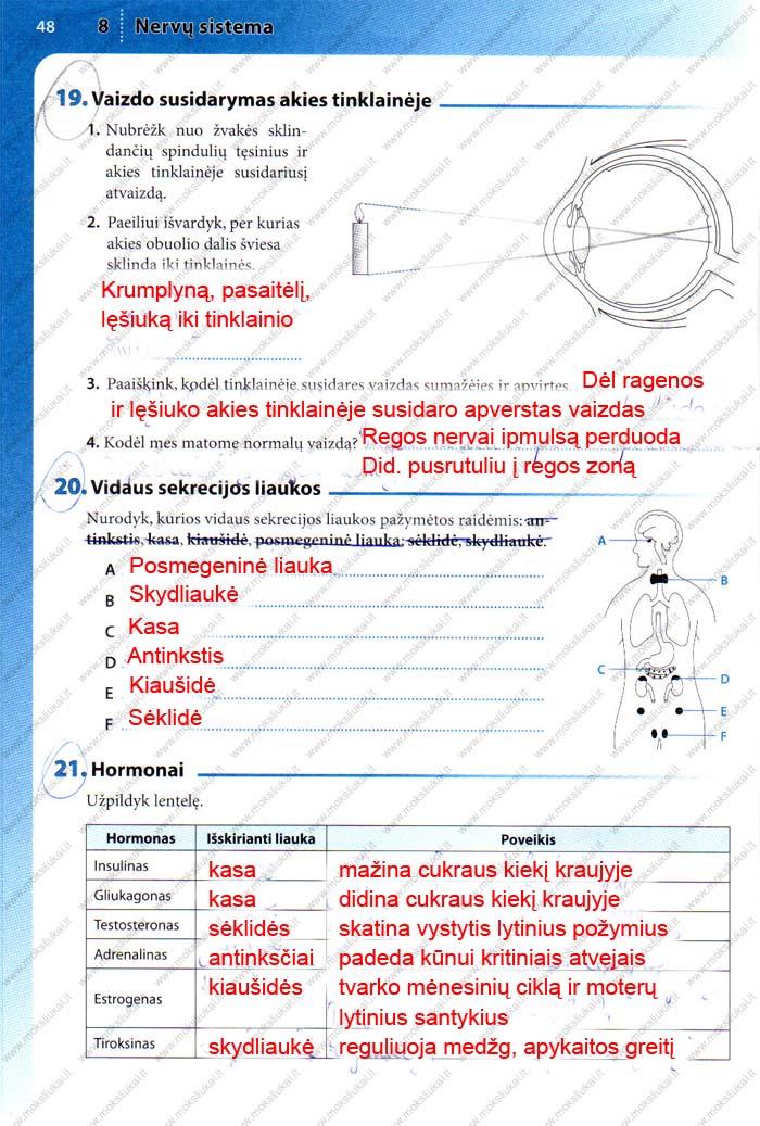 pratybu atsakymai