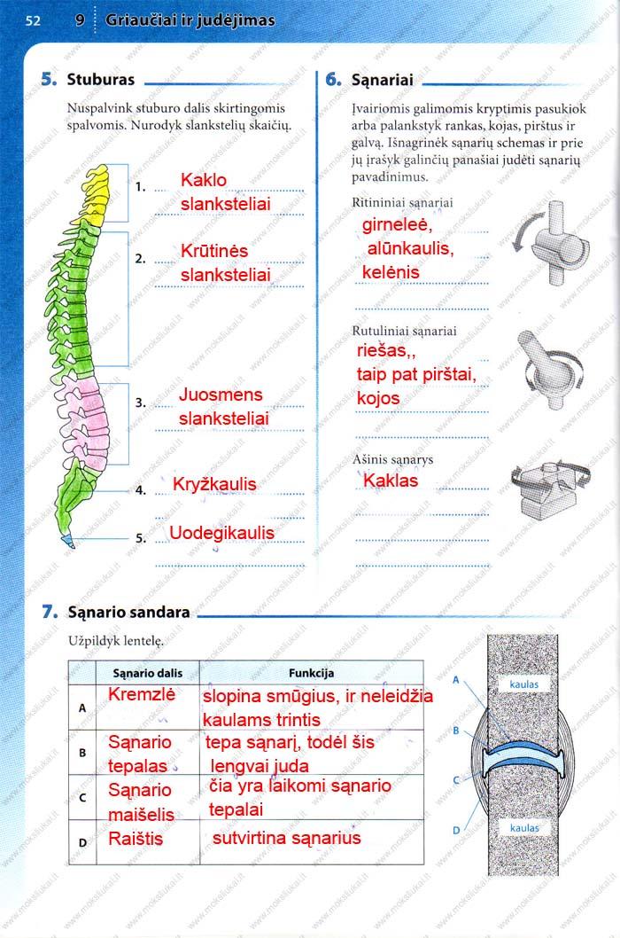 pratybu atsakymai