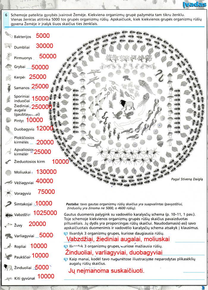 pratybu atsakymai