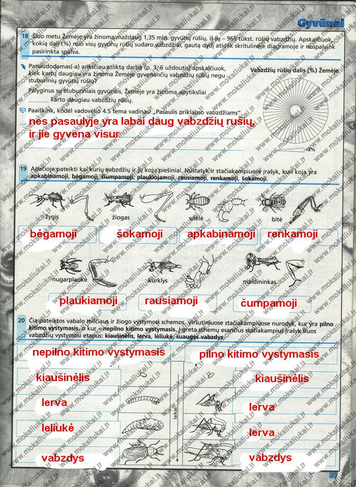 pratybu atsakymai