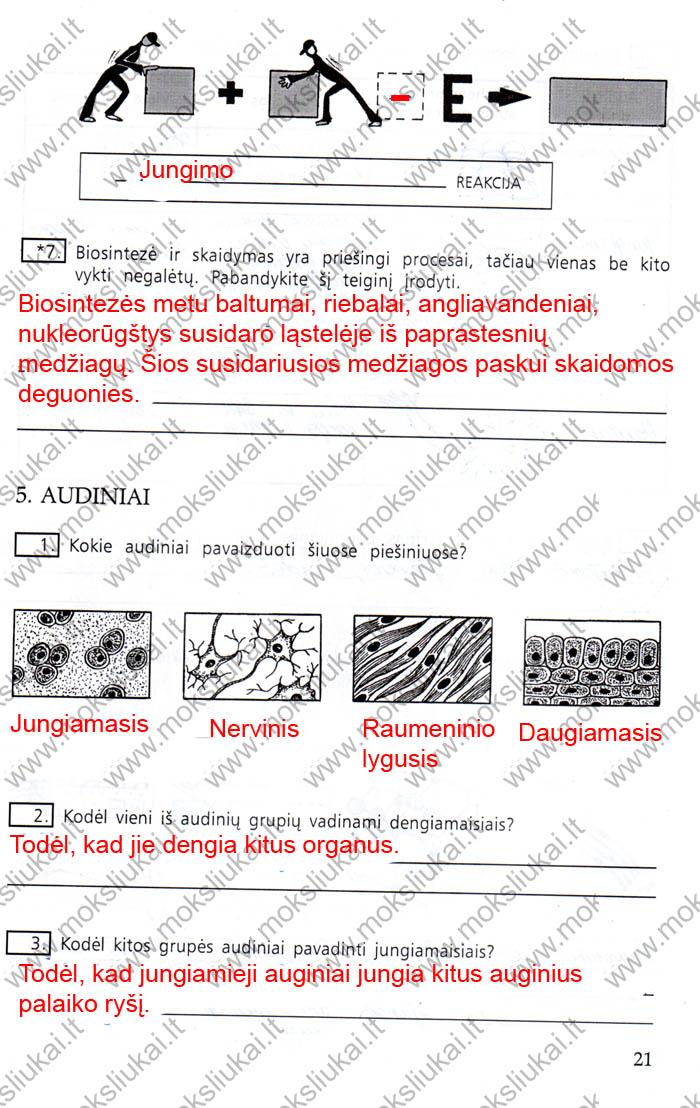 pratybu atsakymai