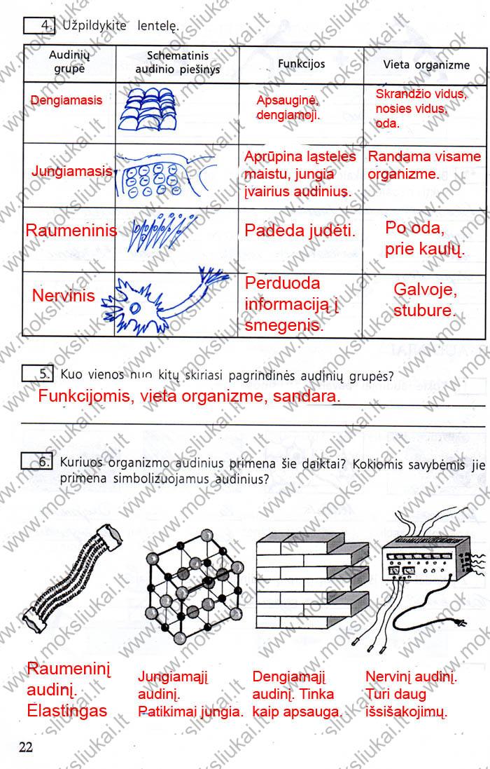 pratybu atsakymai