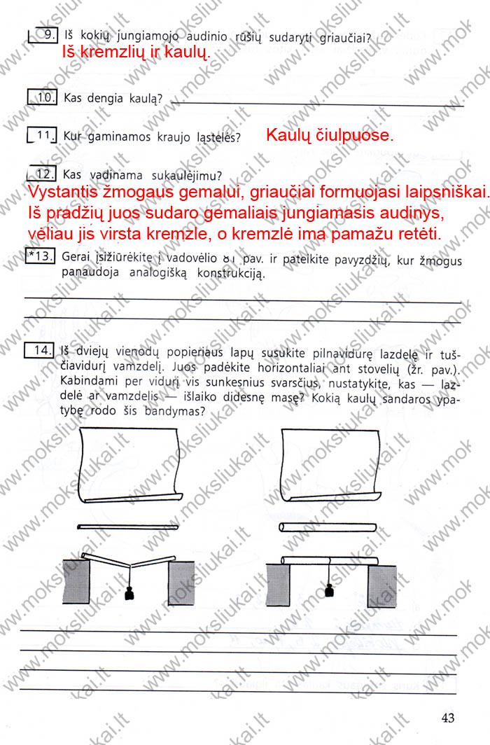 pratybu atsakymai