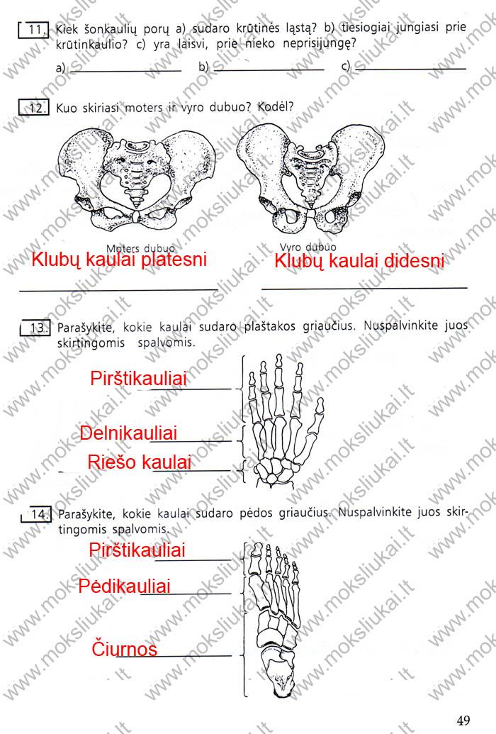 pratybu atsakymai