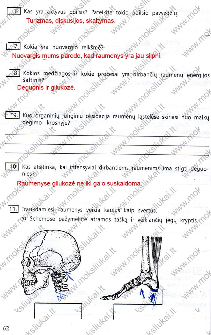 pratybu atsakymai