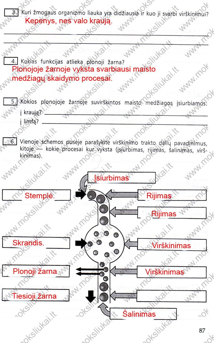 pratybu atsakymai