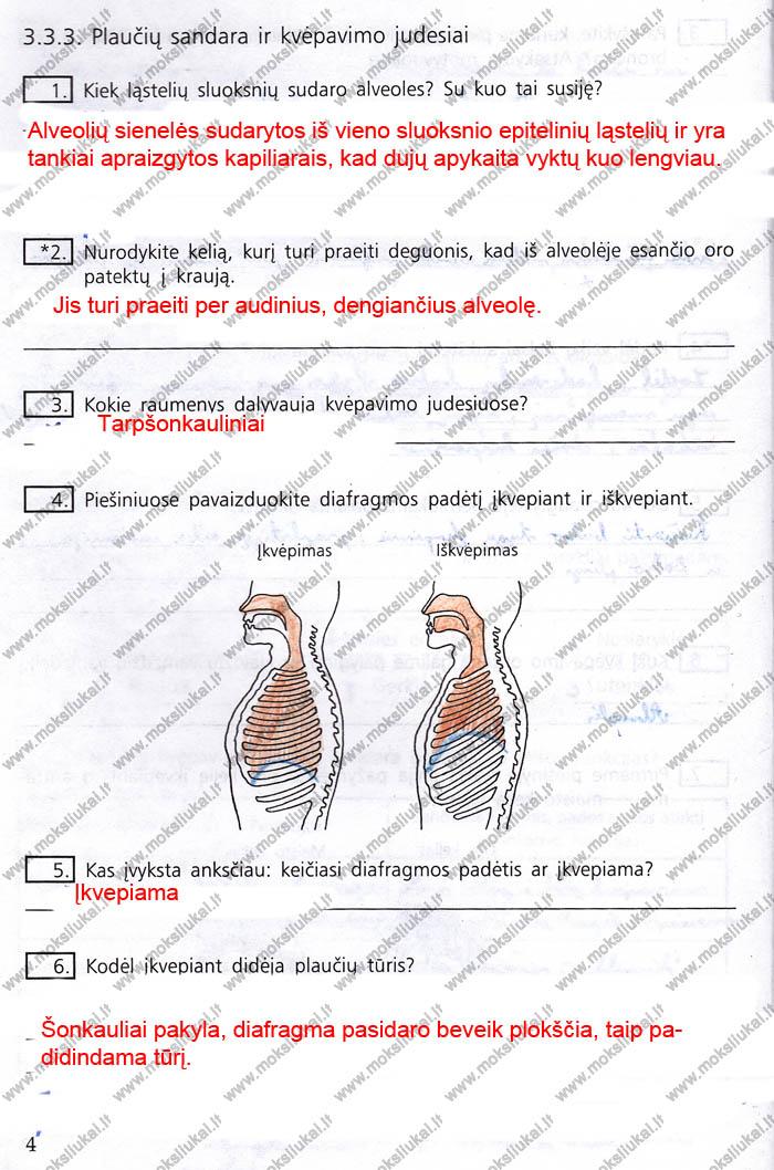 pratybu atsakymai