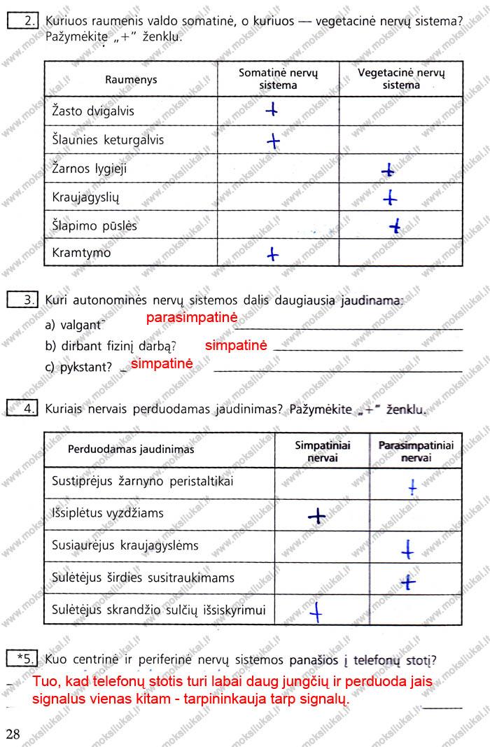 pratybu atsakymai