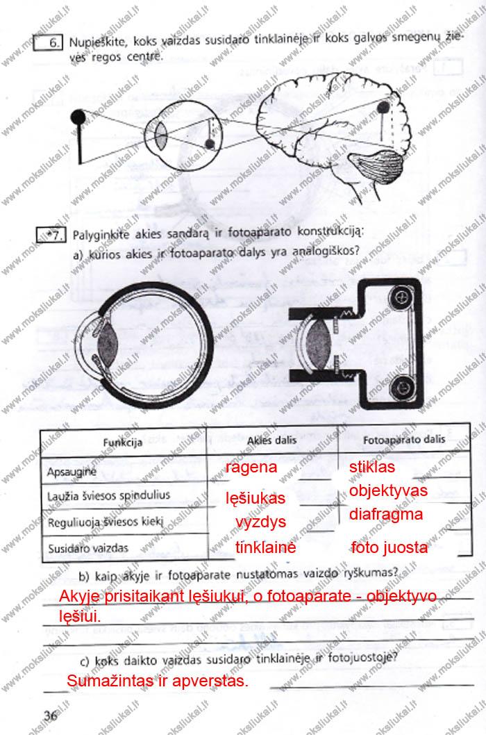 pratybu atsakymai