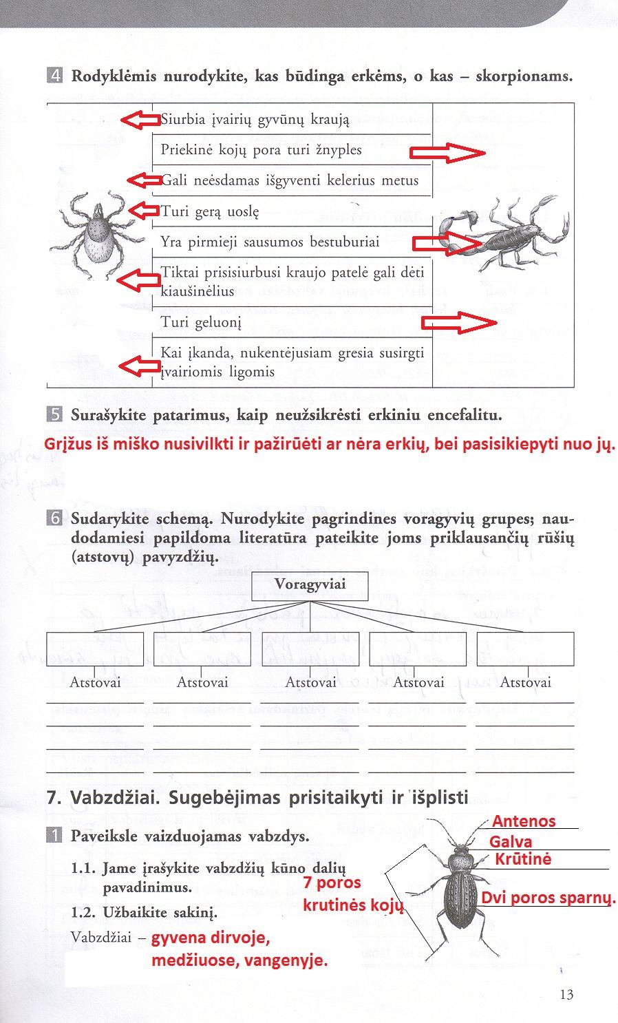 pratybu atsakymai