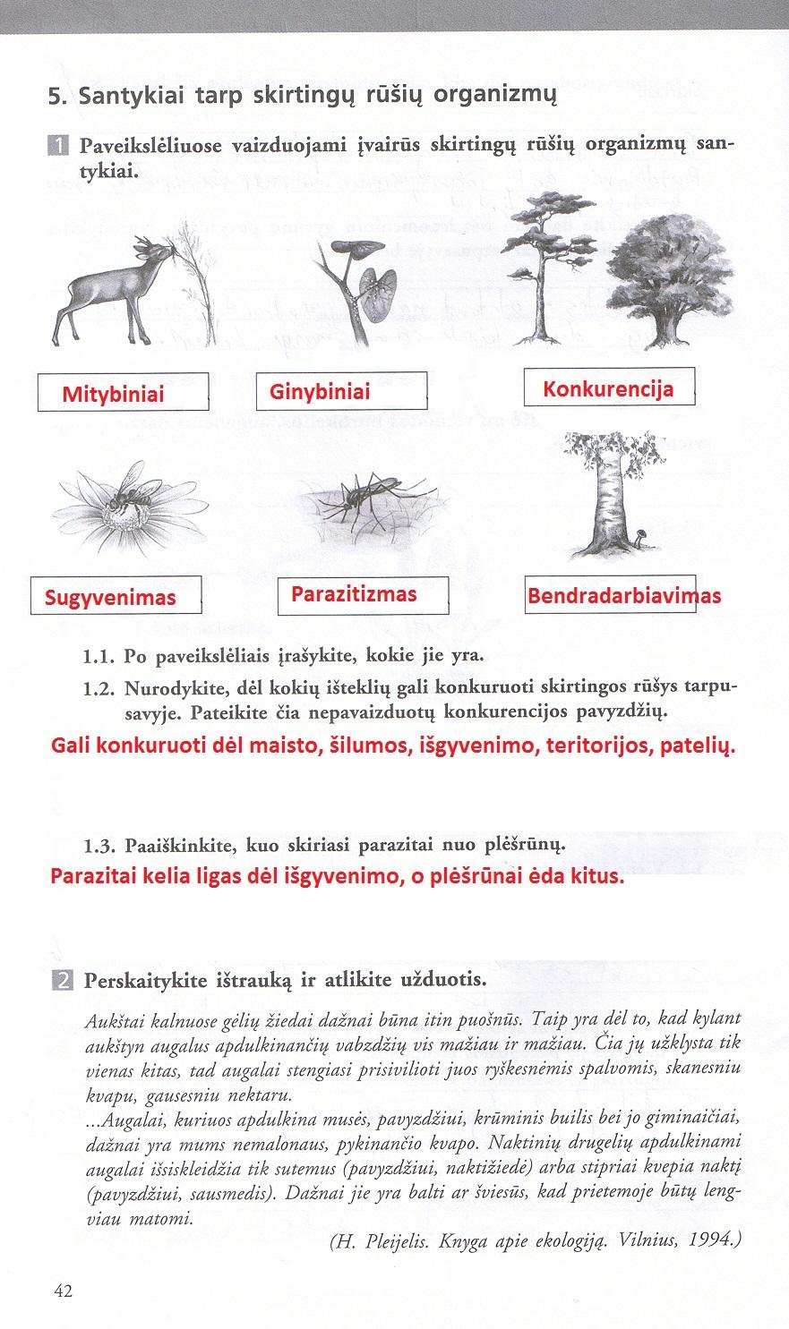 pratybu atsakymai