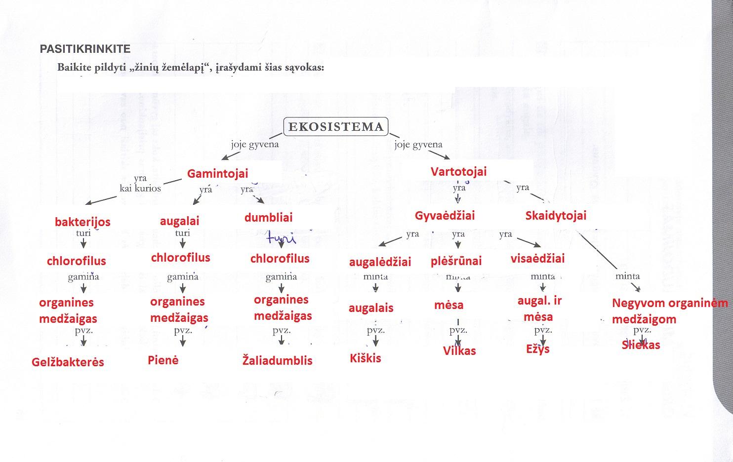 pratybu atsakymai