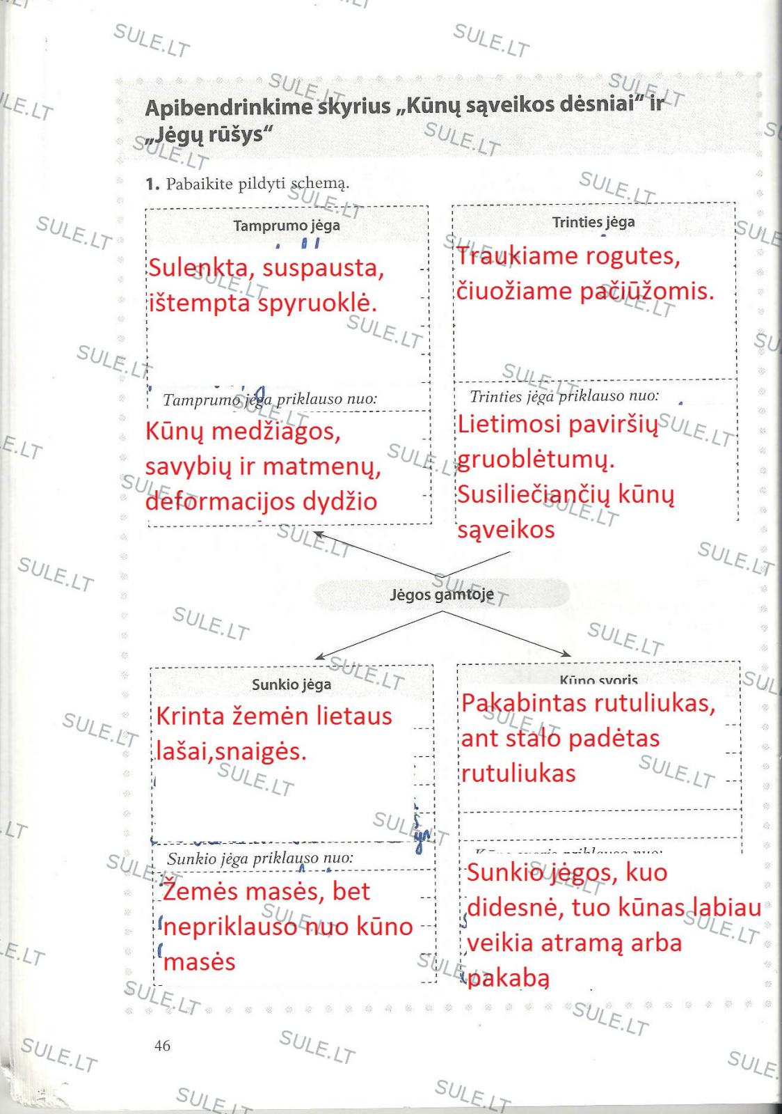 pratybu atsakymai