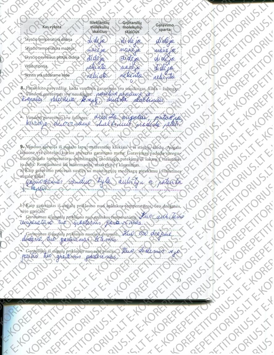 pratybu atsakymai