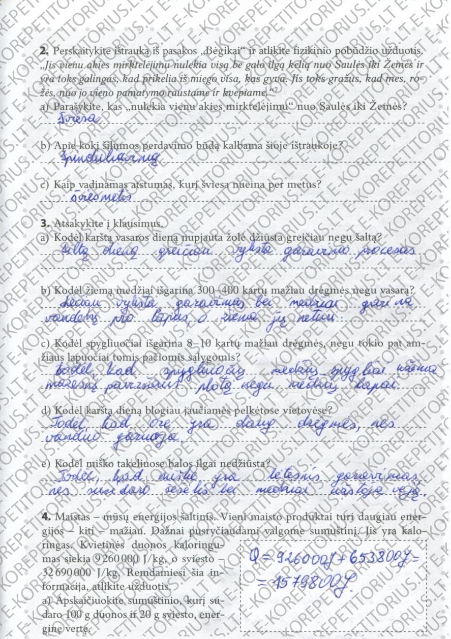 pratybu atsakymai