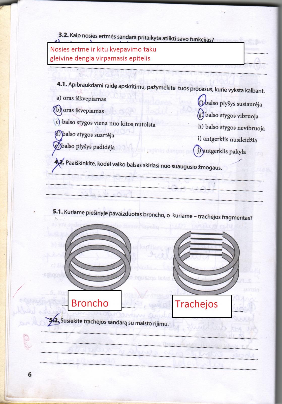 pratybu atsakymai