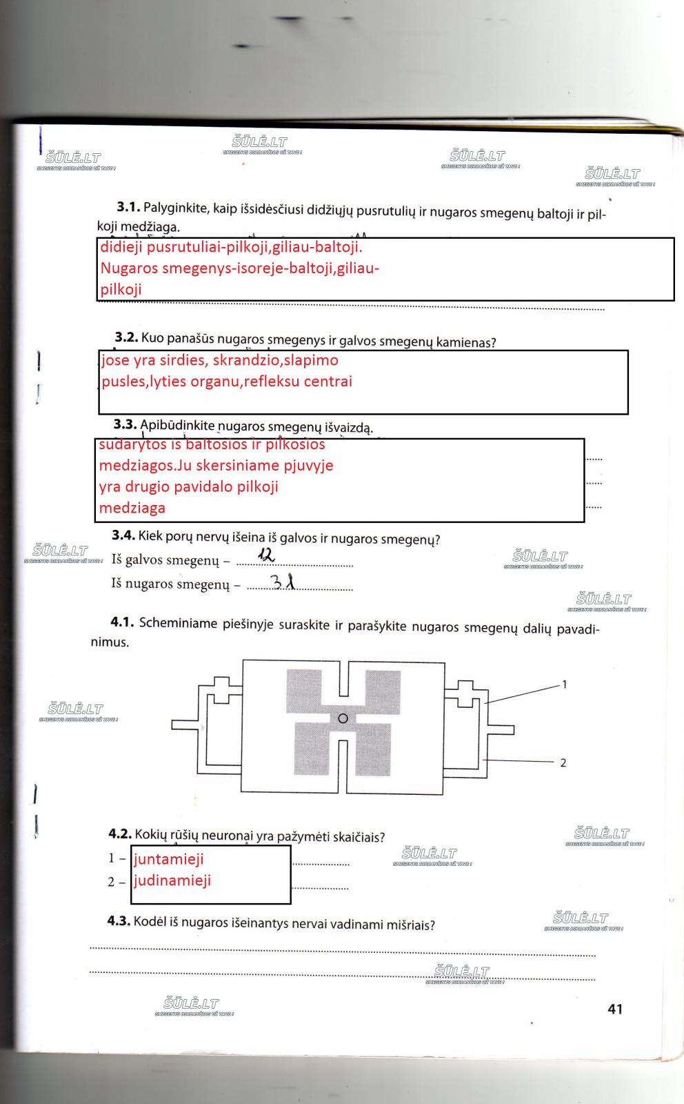 pratybu atsakymai