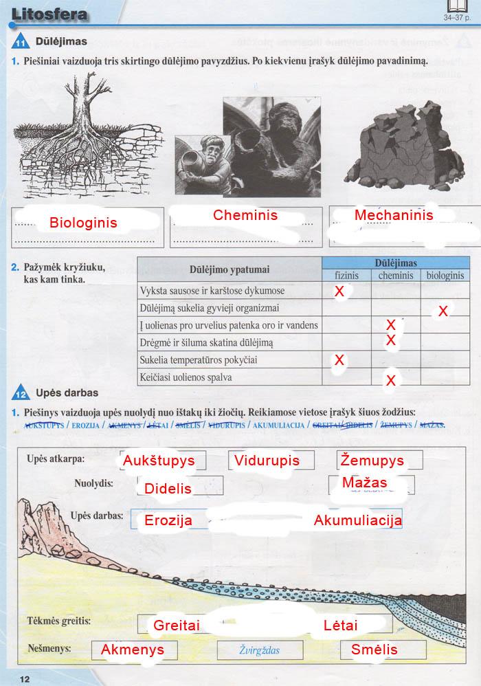 pratybu atsakymai