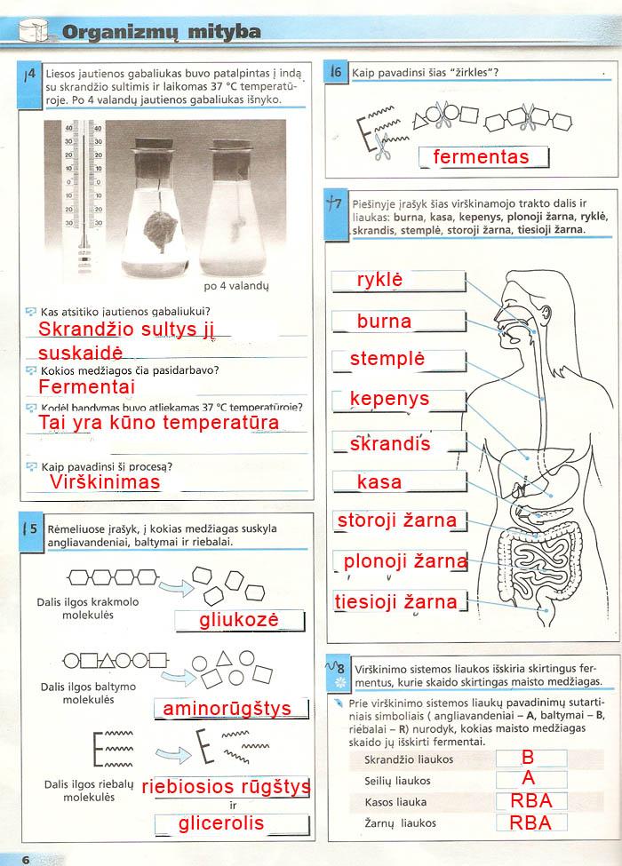 pratybu atsakymai