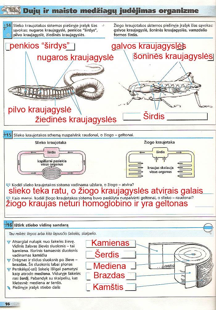 pratybu atsakymai