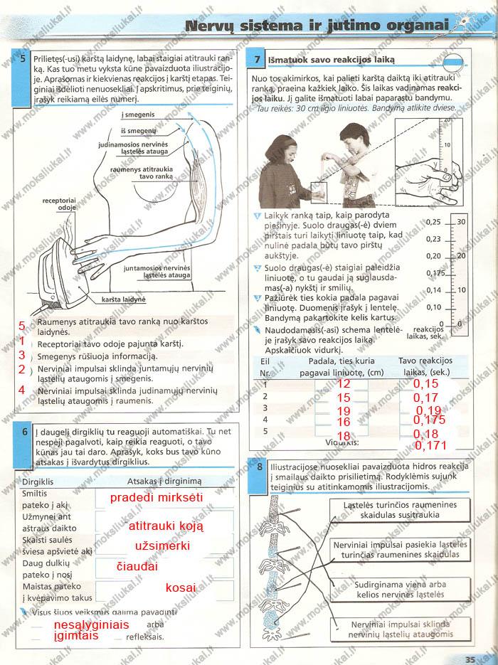 pratybu atsakymai